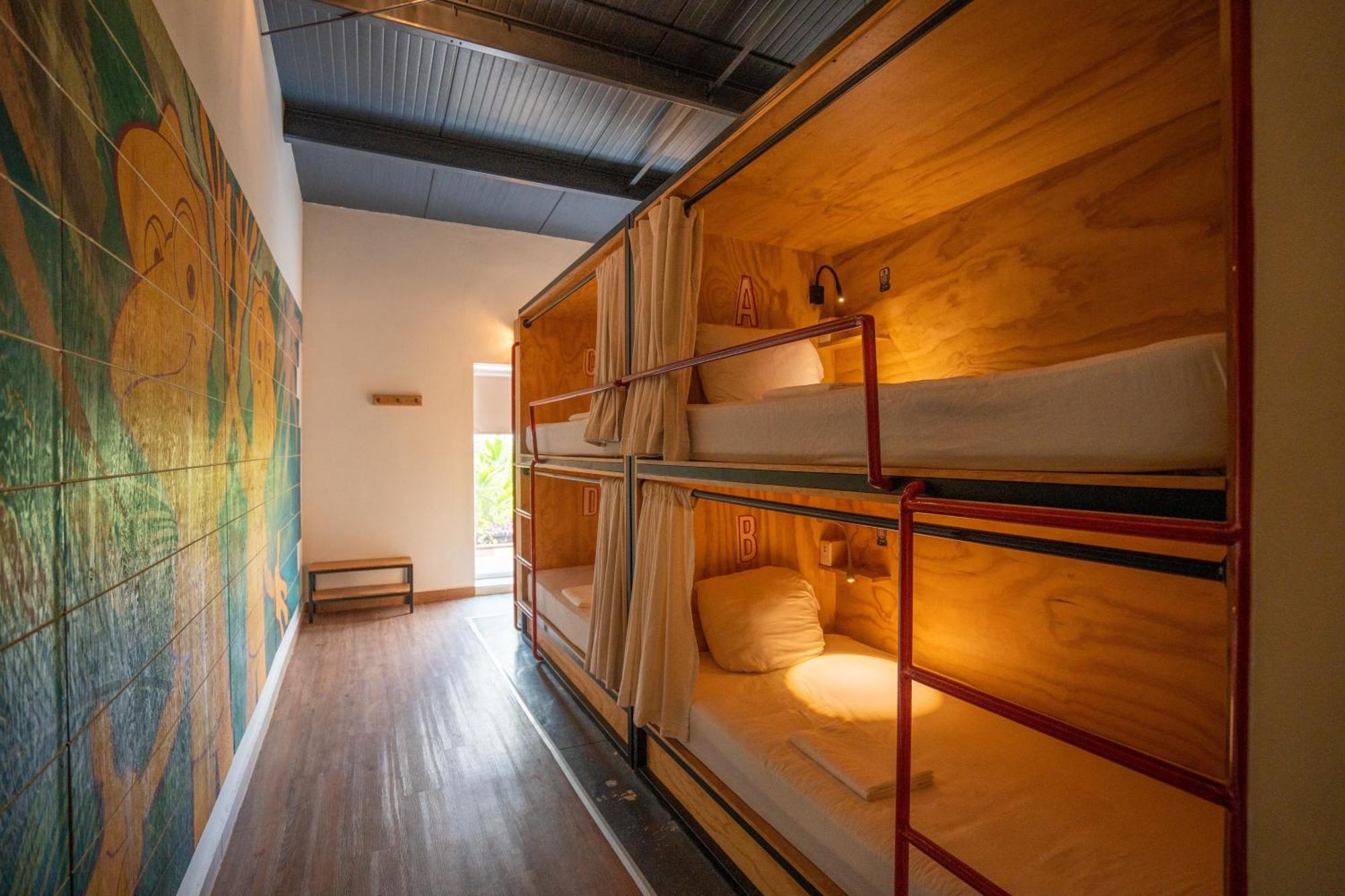 Mayan Monkey Cancun - Social Hotel (Adults Only) Exterior photo